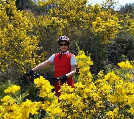 La Residenza Nel Parco Bike House Holiday home