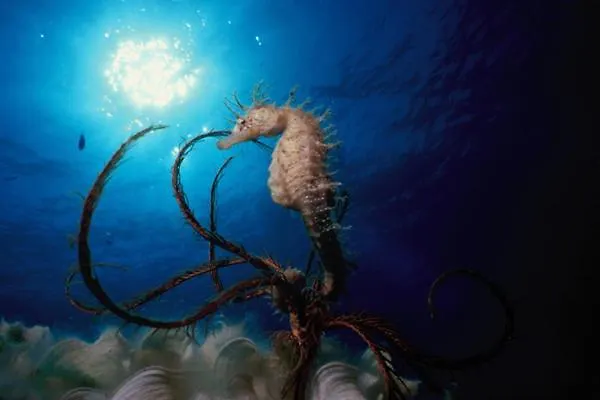 Hébergement de vacances La Residenza Nel Parco Bike House Capoliveri (Isola d'Elba)